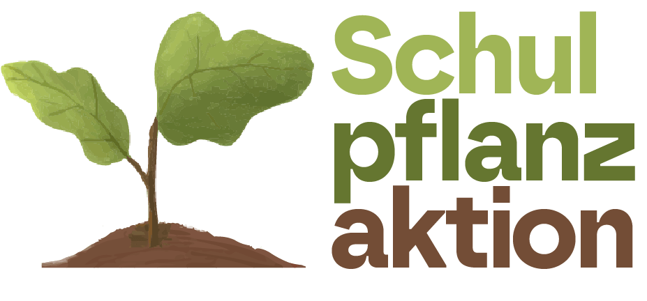 Schulpflanzaktion